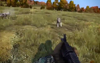 Survival game
